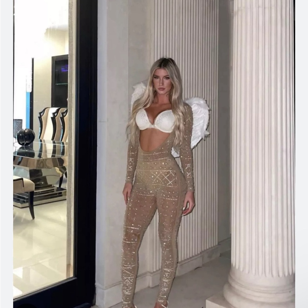 Windsor Iridescent Stunner Rhinestone-Embellished Sheer Catsuit.